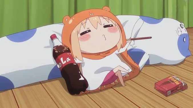 今日主打